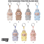 Pop Mart Labubu The Monsters Pin for Love Series Vinyl Plush Pendant (A - M)(PACK OF 1)CollectiblesUSW^